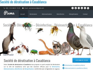 Dératisation Casablanca